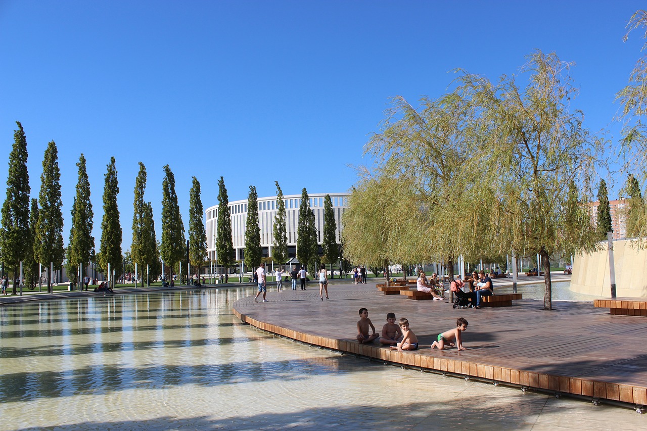 有潜力的新 有潜力的新