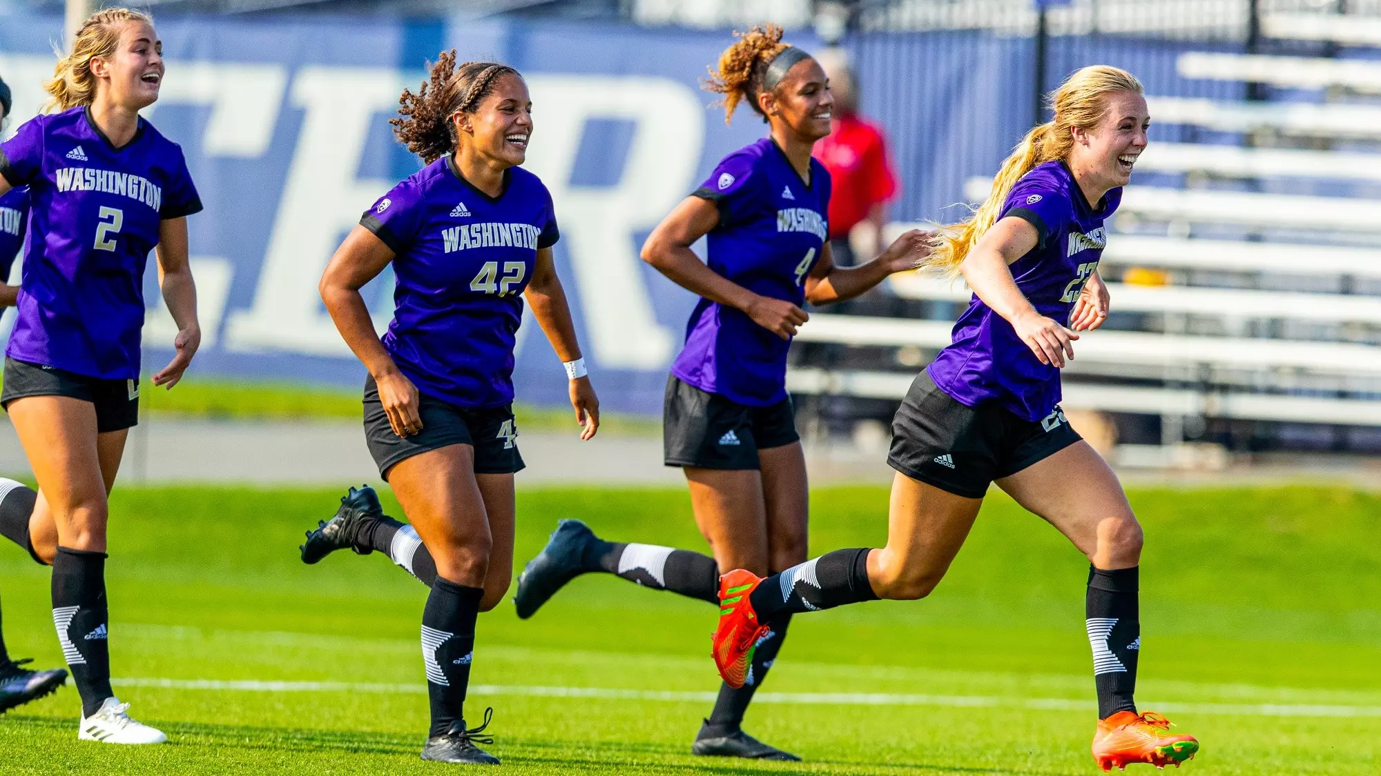 菲力斯的動 菲力斯的動